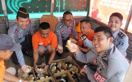 Dukung Program Ketahanan Pangan, Rutan Rengat Kembangkan Ternak Ayam Kampung