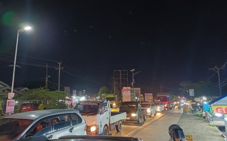 Penertiban Kendaraan oleh UPPKB Tenayan Raya di KM 24 Picu Kemacetan