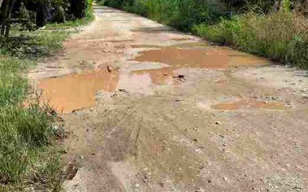 Warga RW O2 Kelurahan Sialangrampai Kecamatan Kulim Keluhkan Jalan Rusak Parah, Pemerintah Kemana?