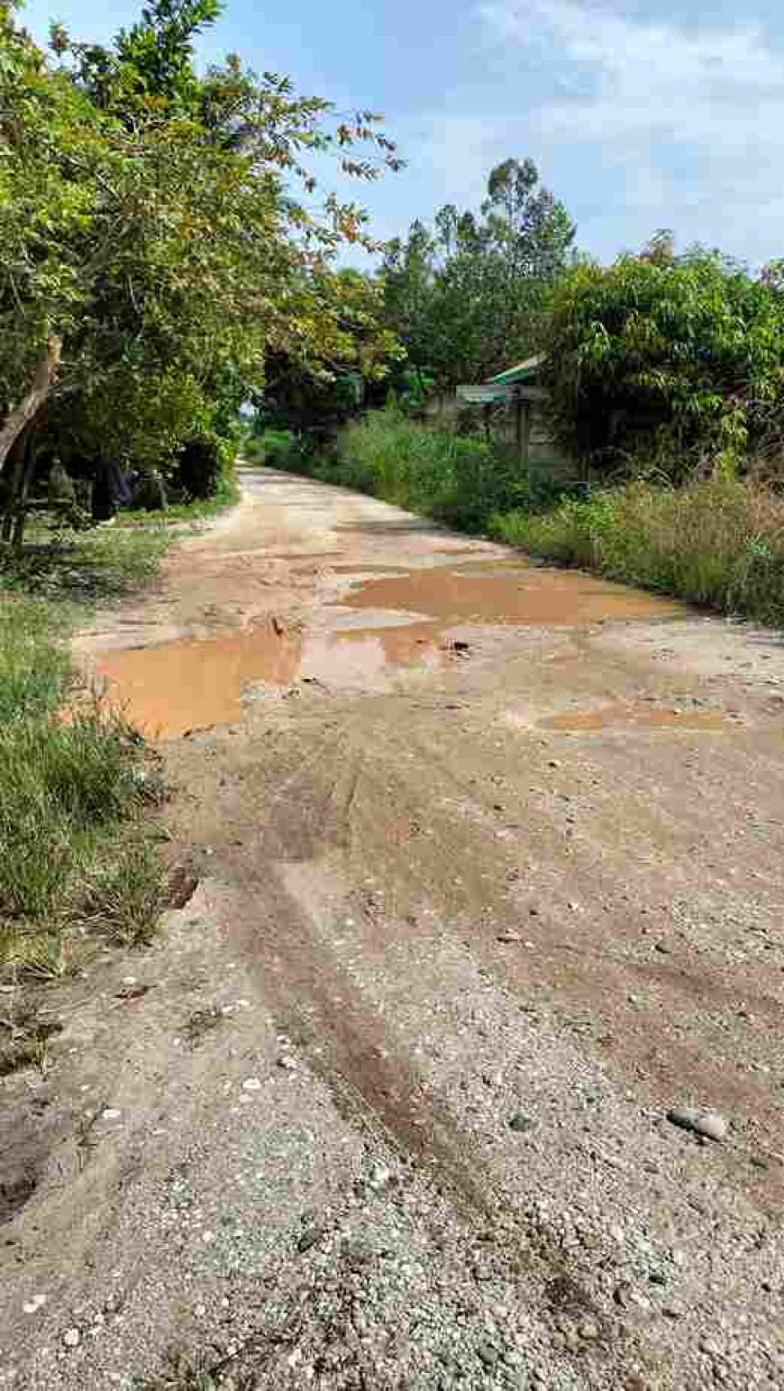 Warga RW O2 Kelurahan Sialangrampai Kecamatan Kulim Keluhkan Jalan Rusak Parah, Pemerintah Kemana?