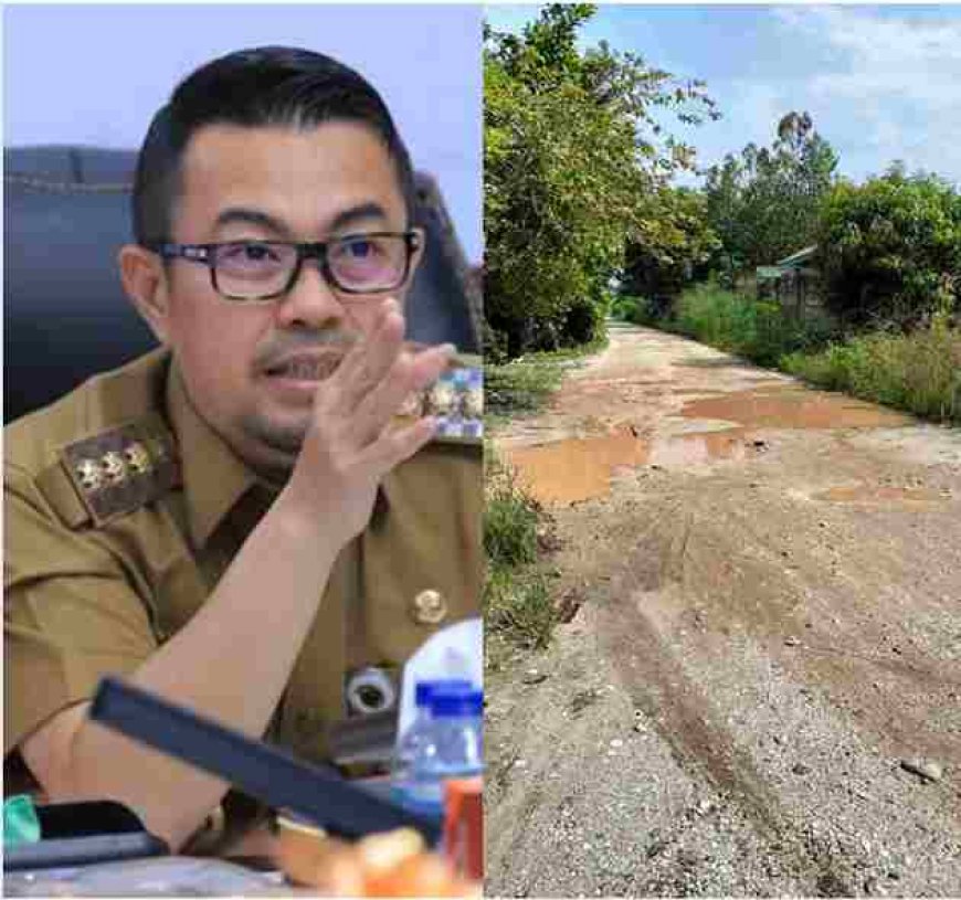 Pj Walikota Pekanbaru Risnandar Mahiwa Respon Cepat Terhadap Kerusakan Jalan Mawar