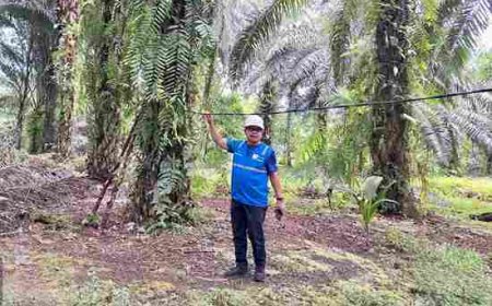Keluhan Warga Rumbai Barat soal Pemasangan Meteran Listrik, PLN Klarifikasi Dugaan Pelanggaran Prosedur