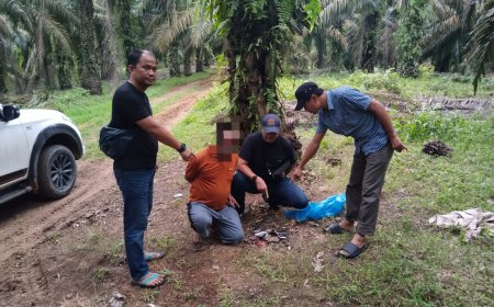 Polsek Tapung Hulu Ungkap dan Ringkus Pelaku Pembunuhan Sadis di Kebun Tandun Setelah 6 Hari Buron