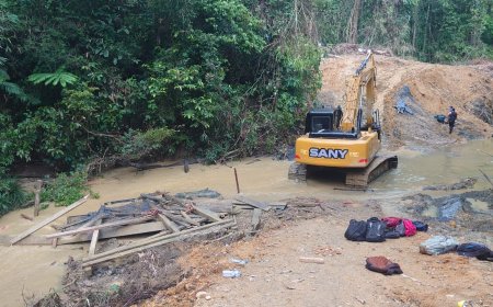 Publik dan Istri Pekerja Tambang Ilegal Desak Polisi Tangkap Pemilik Modal di Hutan Margasatwa Hulu Kuantan