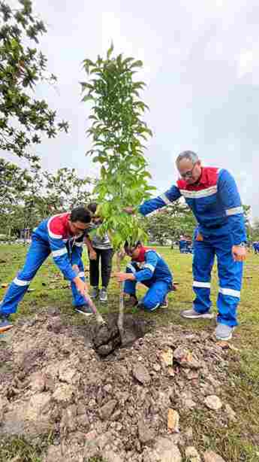 Komitmen Menjaga Lingkungan, PHR Sumbang Aksi Nyata Melalui Donasi dan Tanam Bibit Pohon