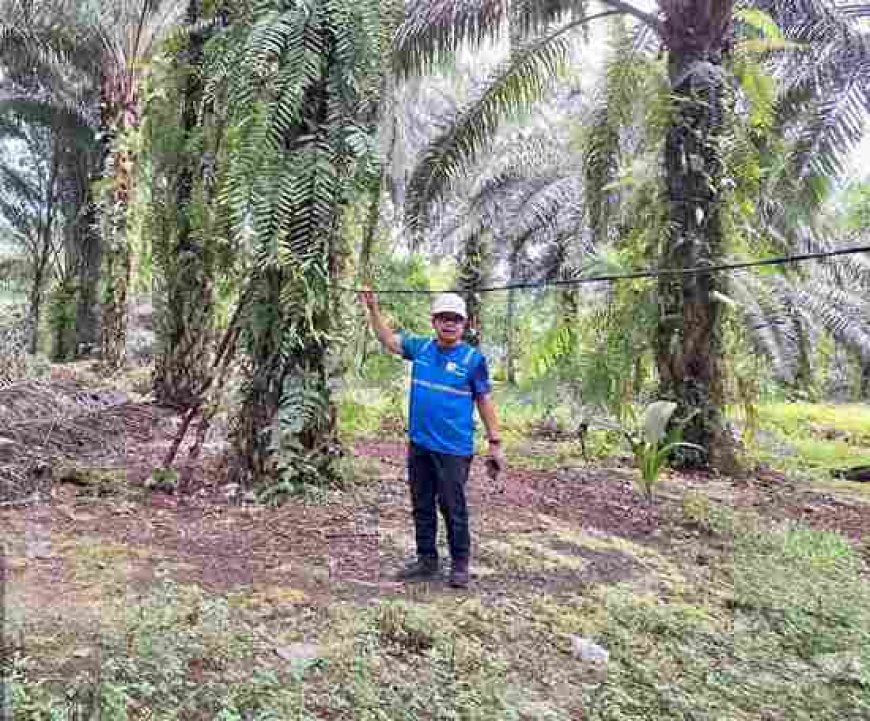 Keluhan Warga Rumbai Barat soal Pemasangan Meteran Listrik, PLN Klarifikasi Dugaan Pelanggaran Prosedur