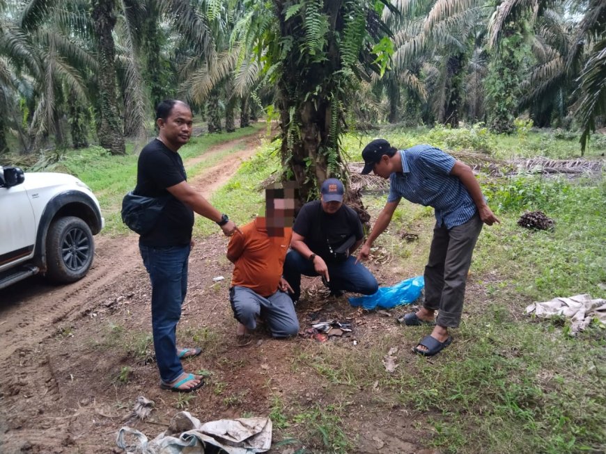 Polsek Tapung Hulu Ungkap dan Ringkus Pelaku Pembunuhan Sadis di Kebun Tandun Setelah 6 Hari Buron