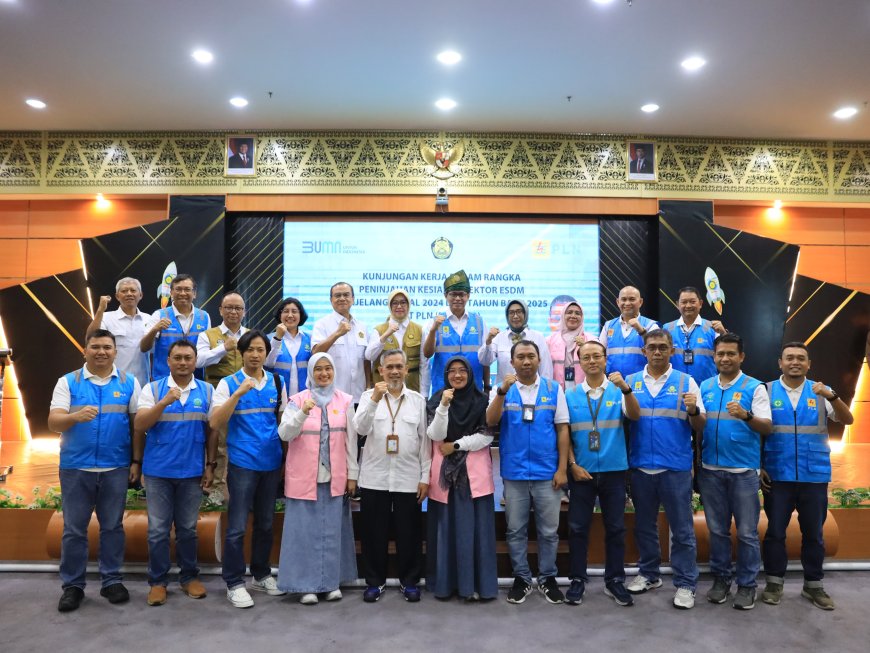 Wamen ESDM Tinjau Kesiapan Pasokan Listrik, Pastikan Keandalan Layanan Kelistrikan Selama Nataru 2024/2025 di Riau