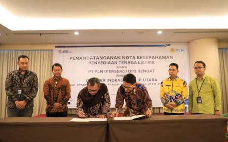 PLN Dukung Industri Kelapa Sawit di Indragiri Hilir dengan Pasokan Listrik Andal