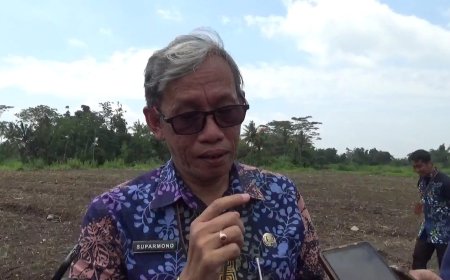 291 Sapi di Sleman Masih Terpapar PMK