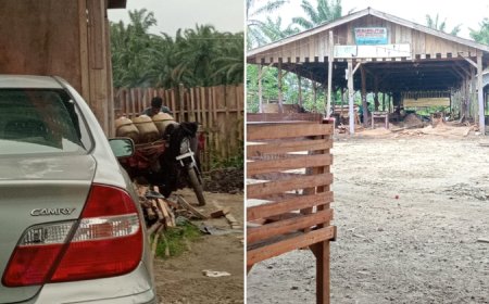 Oknum PNS di Labura Diduga Jalankan Bisnis Ilegal Kilang Kayu dan Pertalite