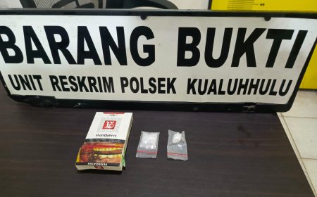Tim Reskrim Polsek Kualuh Hulu Tangkap Pria Bawa 2,36 Gram Sabu