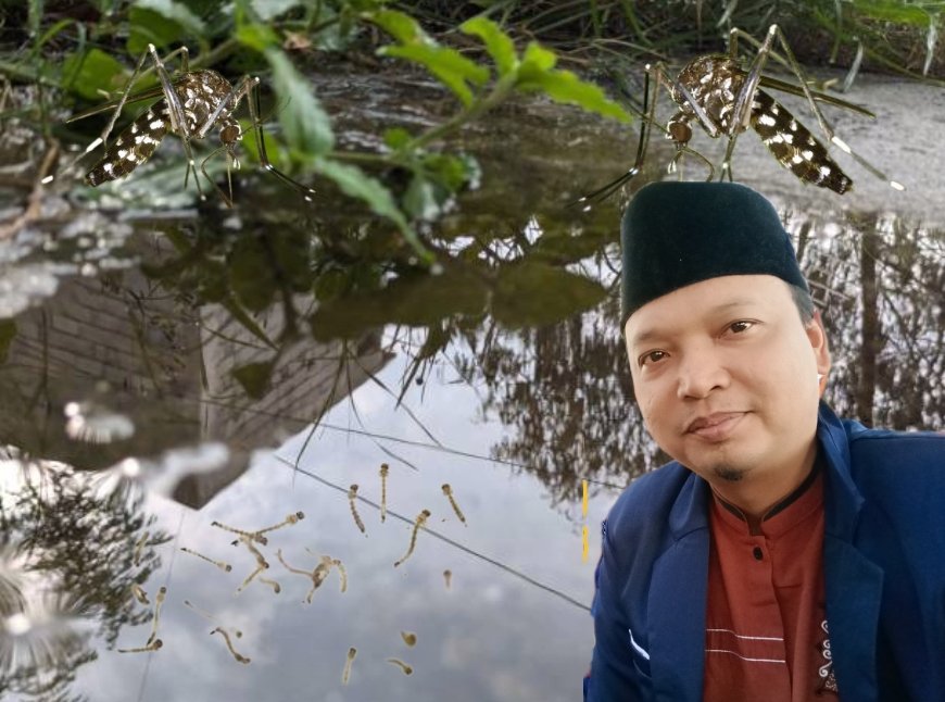 Musim Hujan di Pekanbaru: Rahmat Handayani Imbau Warga Waspadai Penyebaran Nyamuk Aedes Aegypti