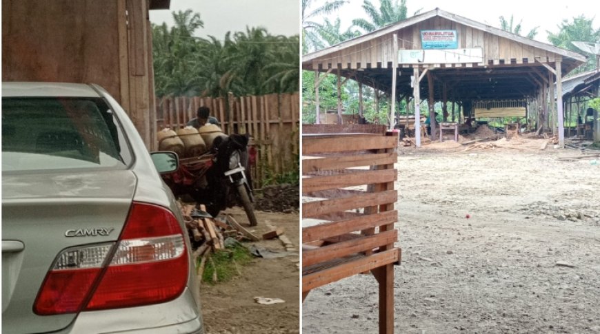 Oknum PNS di Labura Diduga Jalankan Bisnis Ilegal Kilang Kayu dan Pertalite