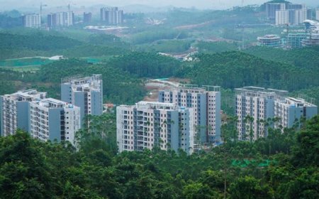 Usulan IKN sebagai Ibu Kota Kedua: Bambang Haryo Dorong Kalimantan Timur Jadi Pusat Industri