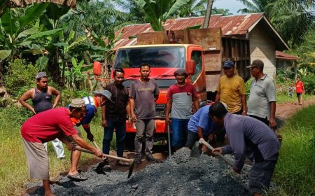 PT Perkebunan DLI (Daya Labuhan Indah) Peduli, Turunkan Batu Petrun untuk Perbaikan Jalan di Dusun Wonosari, Labuhanbatu