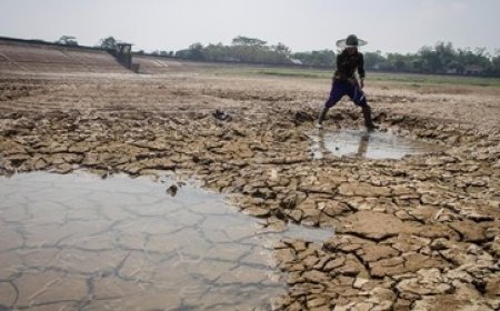 Prediksi BMKG: Musim Kemarau 2025 Diperkirakan Tiba pada April