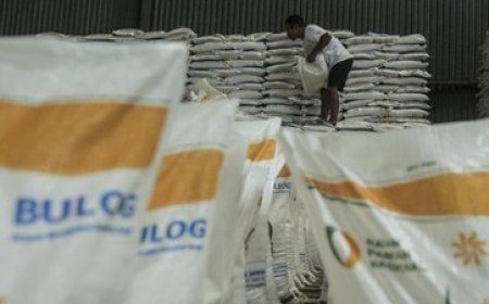 Indonesia Diprediksi Akhiri Defisit Beras pada Maret 2025