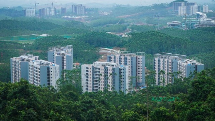 Usulan IKN sebagai Ibu Kota Kedua: Bambang Haryo Dorong Kalimantan Timur Jadi Pusat Industri