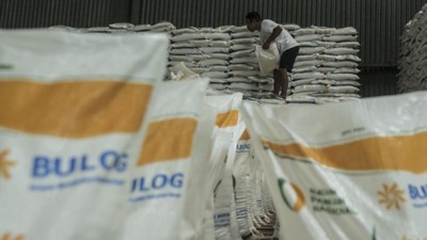 Indonesia Diprediksi Akhiri Defisit Beras pada Maret 2025