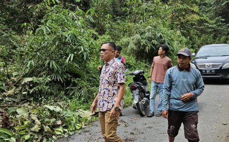 Atasi Pohon Tumbang di Hutan Lindung, Camat Sentajo Raya Apresiasi Respon Cepat Kadis DLH Kuansing