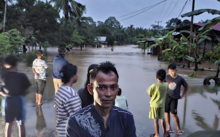 Banjir Terjang Desa Perhentian Luas di Kecamatan Logas Tanah Darat, 30 Rumah Terendam