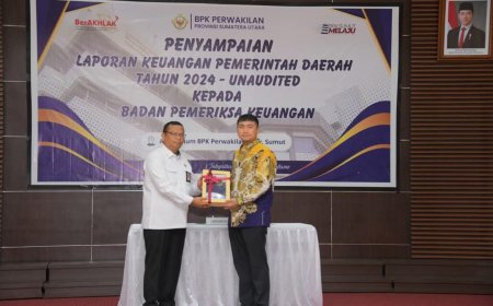 Bupati Labura Serahkan Laporan Keuangan TA 2024 ke BPK RI Perwakilan Sumut