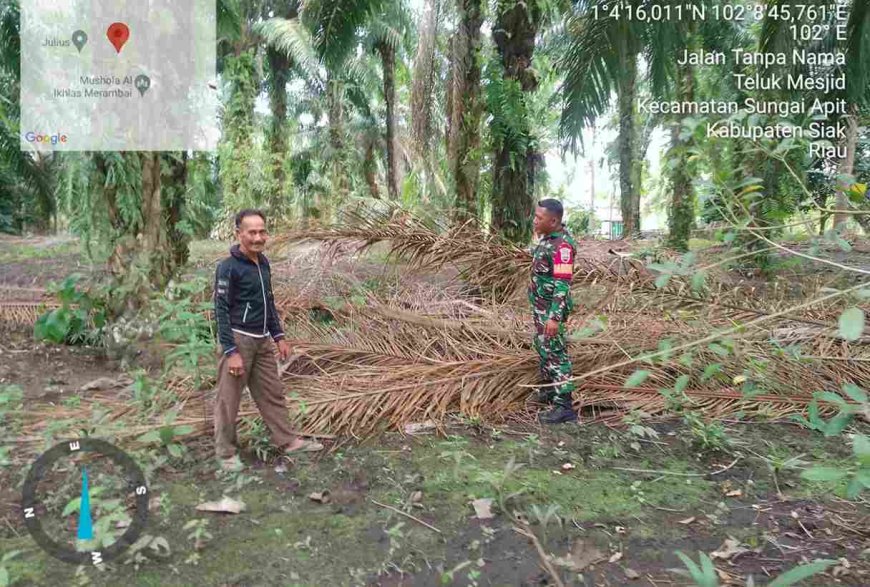 Babinsa Koramil Kampung Teluk Mesjid, 02 Kabupaten Siak, Sosialisasikan Karhutla