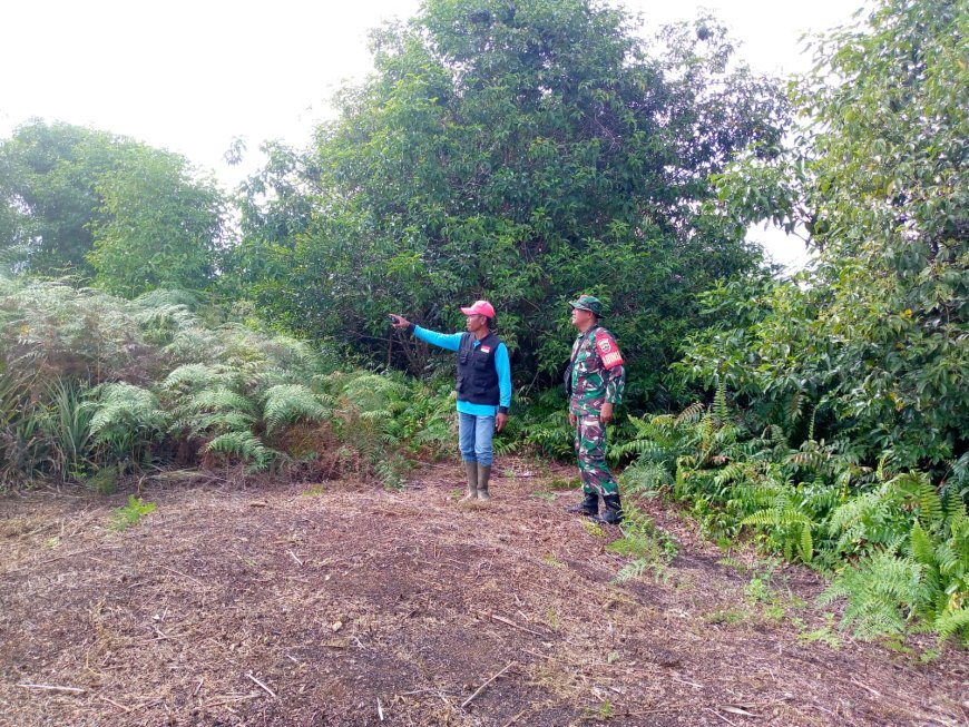 Babinsa Koramil 02/Sungai Apit Gelar Patroli Karhutla di Kampung Penyengat