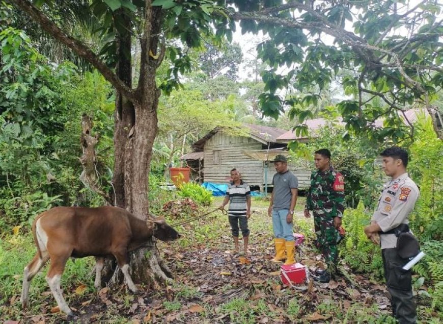 Koramil 02/SA Hadiri Upaya Pencegahan Penyakit Mulut dan Kuku (PMK) di Kabupaten Siak