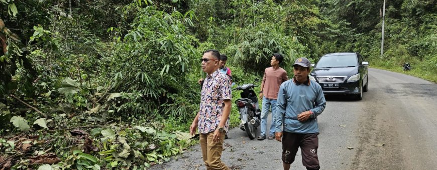 Atasi Pohon Tumbang di Hutan Lindung, Camat Sentajo Raya Apresiasi Respon Cepat Kadis DLH Kuansing