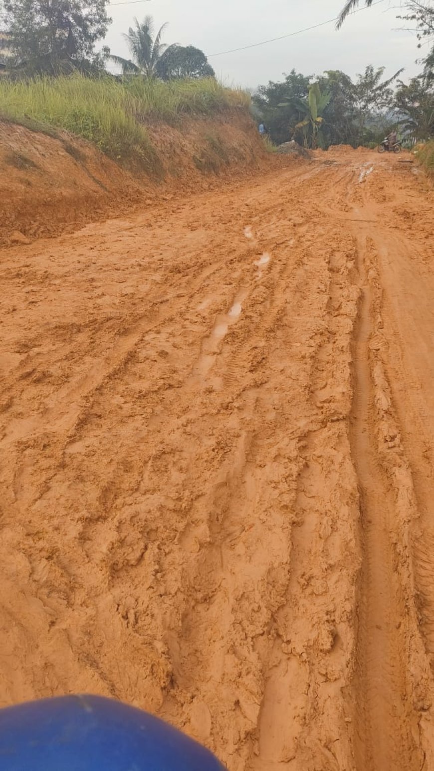 Beginilah Nasib Warga Tuah Negeri: Hujan Turun, Anak-Anak Tak Bisa Sekolah
