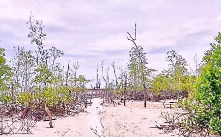 Pembangunan Infrastruktur Wisata Pantai Sungai Sirih Dimulai, Rokan Hilir Siap Jadi Destinasi Unggulan