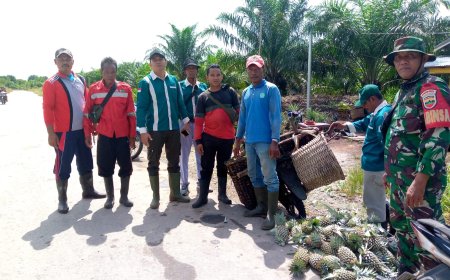 Babinsa Koramil 02/Sungai Apit Serka Irwan Melaksanakan Patroli Karhutla di Kampung Penyengat