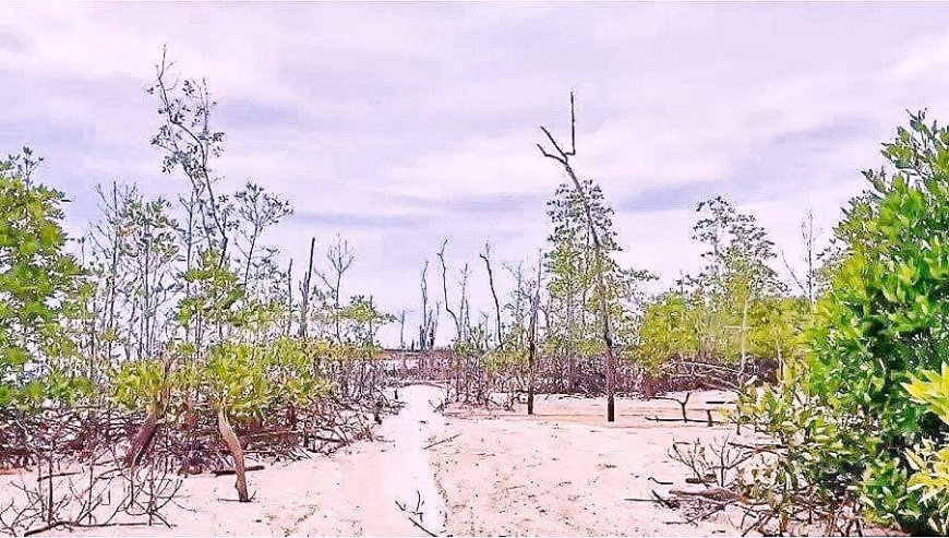 Pembangunan Infrastruktur Wisata Pantai Sungai Sirih Dimulai, Rokan Hilir Siap Jadi Destinasi Unggulan