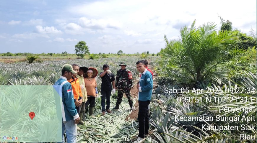 Upaya Pencegahan Karhutla di Kecamatan Sungai Apit