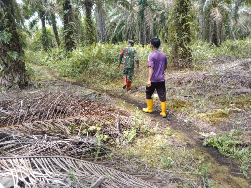 Penanggulangan Karhutla di Wilayah Koramil 02/Sungai Apit, Minggu 27 April