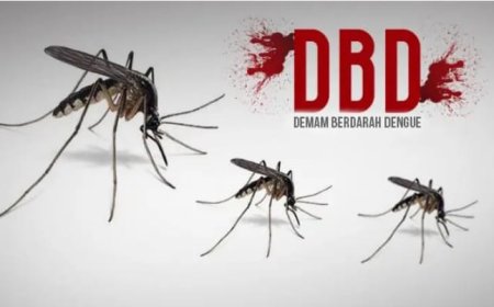 Waspada Demam Berdarah! 1.471 Kasus DBD Terjadi di Riau, 11 Kasus Terdeteksi di Pelalawan Sepanjang April 2025