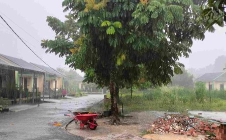 Riau Siaga Hujan: BMKG Peringatkan Potensi Petir dan Angin Kencang Hari Ini