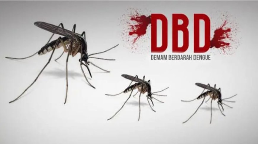 Waspada Demam Berdarah! 1.471 Kasus DBD Terjadi di Riau, 11 Kasus Terdeteksi di Pelalawan Sepanjang April 2025