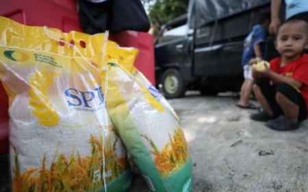 Pemerintah Guyur 250 Ribu Ton Beras SPHP untuk Kendalikan Harga Pasar