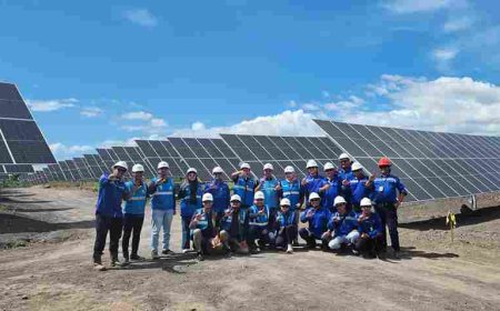 Indonesia Percepat Pemerataan Energi Lewat Peresmian 47 PLTS di 11 Provinsi