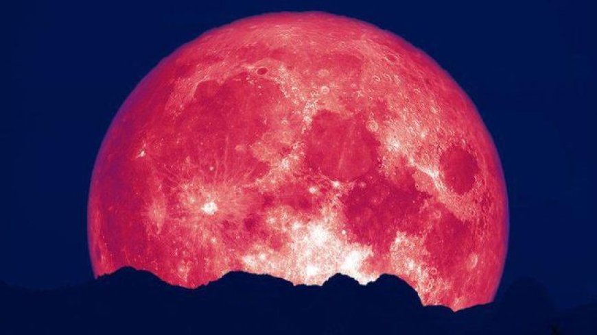 Tarian Langit Juni 2025: Strawberry Moon, Hujan Meteor, dan Panggung Galaksi