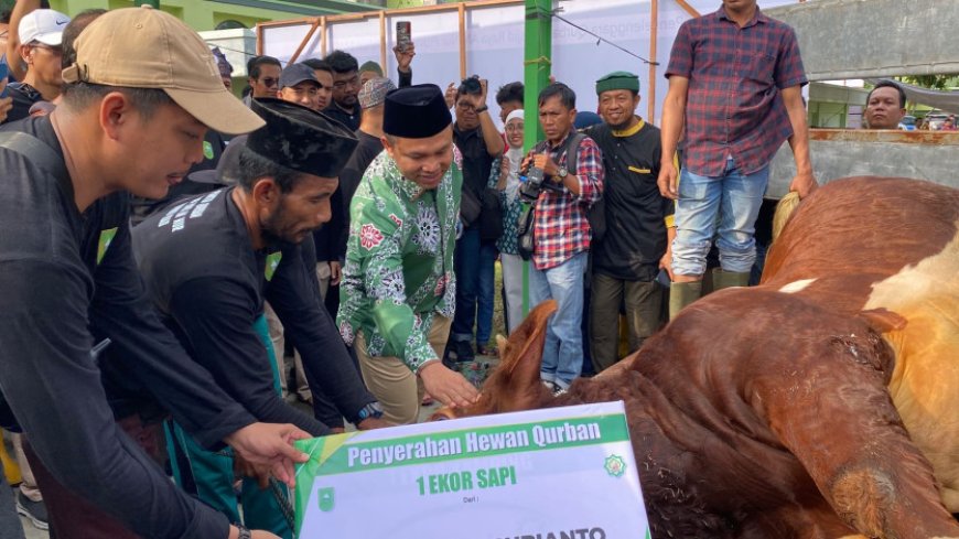 Gubernur Riau Saksikan Penyembelihan Hewan Kurban Bantuan Presiden di Masjid Raya An-Nur