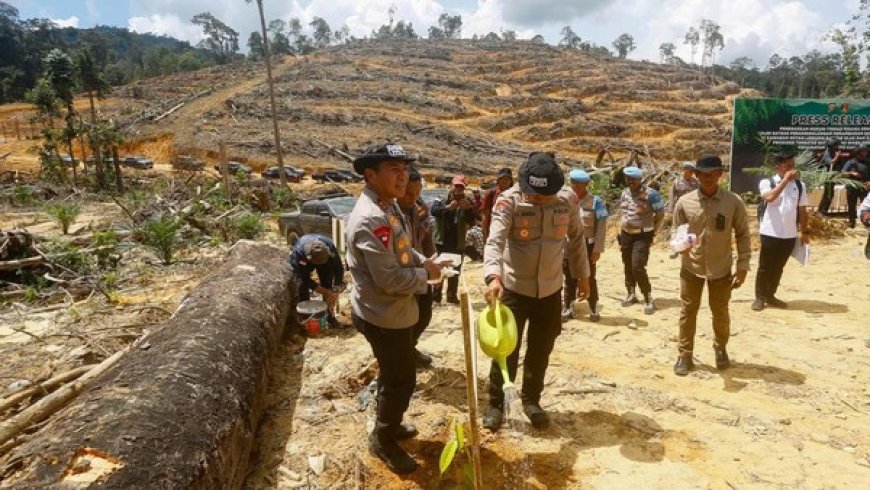 Polda Riau Tindak Tegas Perambah Hutan Siabu, Lakukan Reboisasi Sebagai Komitmen Green Policing