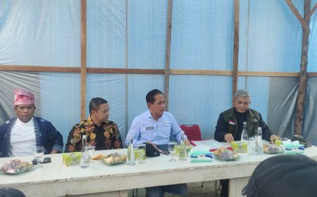 Satgas PKH Akan Musnahkan Sawit Didalam Kawasan TNTN dan Ditanami Pohon Asli Hutan