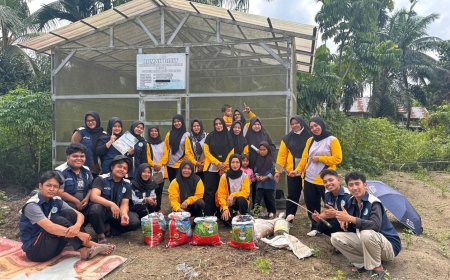 Kreatif dan Inovatif! KWT Bunda Ceria Gandeng Mahasiswa UNRI Tanam Ubi Dalam Karung (UDARUNG)