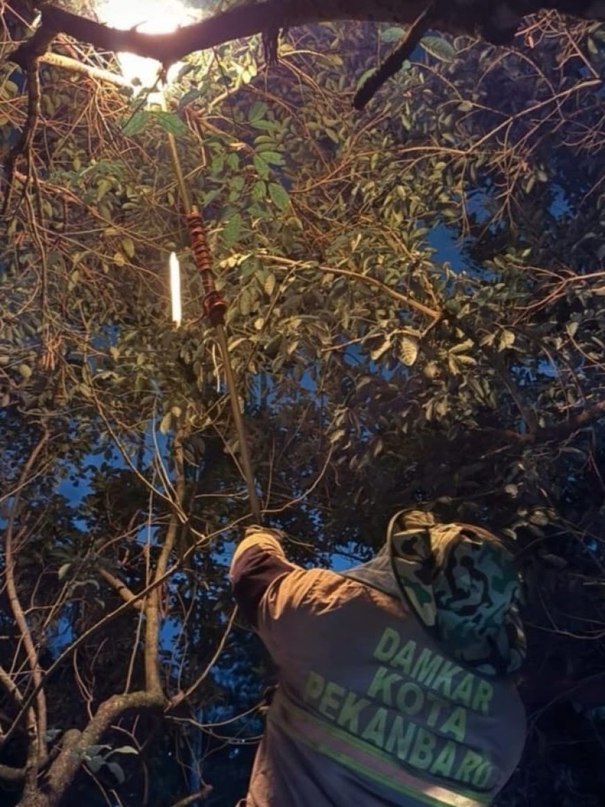 Dinas Damkar Pekanbaru Gencarkan Sosialisasi dan Latihan Penanganan Kebakaran serta Hewan Liar