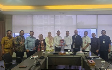 Perjuangkan DBH dan Pendidikan, Pemkab Rohil Bersama Karmila Sari Sambangi Pusat