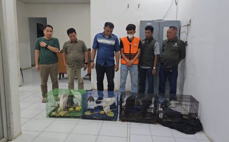 Perdagangan Satwa Dilindungi Terbongkar di Deli Serdang